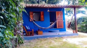 Little Blue House